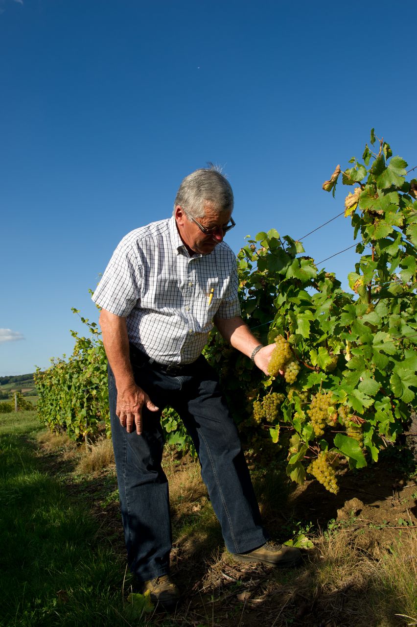 Vins Vigneron Pierre Rolet portraitPR-10